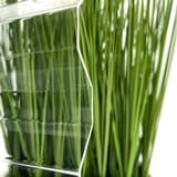 Acrylglas golfplaat 76/18, 1,50 mm, helder, detail van lichtdoorlatendheid voor planten
