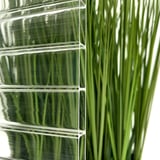 Detail van de 16 mm Acrylglas kanaalplaat, helder, met groene achtergrond