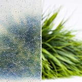 Detail van een heldere polyester lichtplaat met waterdruppels en vage achtergrond