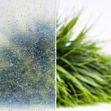 Detailaanzicht van het gestructureerde oppervlak van een heldere polyester lichtplaat met waterdruppels