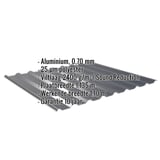 Damwandplaat 20/1100 aluminium 0,70 mm Antracietgrijs met ingebedde technische gegevens en eigenschappen