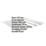 Damwandplaat 35/207 Zilver-Metallic met ingebedde technische gegevens en eigenschappen