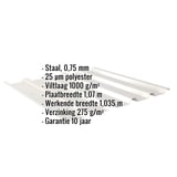 Damwandplaat 35/207 Grijswit, 0,75 mm, met ingebedde technische specificaties