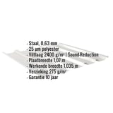 Damwandplaat 35/207 | Dak | Anti-Drup 2400 g/m² | Staal 0,63 mm | 25 µm Polyester | 9006 - Zilver-Metallic