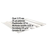 Damwandplaat 35/207 dak, Grijswit, met ingebedde specificaties voor materiaal, dikte en coating