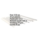 Infographic: Damwandplaat 35/207 wand, Grijswit (RAL 9002), met ingebouwde specificaties voor materiaal, coating en garantie