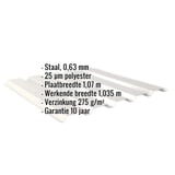 Infographic: Damwandplaat 35/207 Wand, Grijswit, met ingebouwde productgegevens over materiaal, dikte en coating