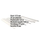 Infographic: Damwandplaat 35/207 Wand, Grijswit, met ingebouwde specificaties voor materiaal, dikte en coating