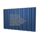 Damwandplaat T18DR wand Gentiaanblauw RAL 5010 met ingebedde productgegevens