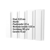 damwandplaat T35/207M Aluzink 0,63 mm met ingebedde specificaties zoals staal en garantie