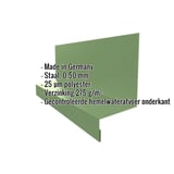 Plint Type 2 van staal 0,50 mm in Resedagroen (RAL 6011) met 25 µm polyestercoating, specificaties weergegeven
