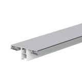 Mendiger middenprofiel, blank aluminium met witte kunststof onderbouw, voor 6-11 mm platen