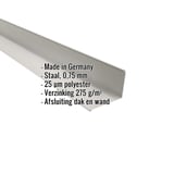 Wandaansluiting Zilver-Metallic, staal 0,75 mm, 25 µm polyester, met productdetails