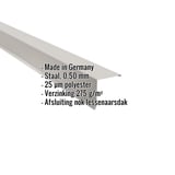 Lessenaarsdakafsluiting van staal, lichtgrijs RAL 7035, met ingebedde productgegevens