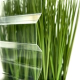 Detail van heldere PET damwandplaat 76/18 met groene planten op de achtergrond