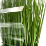 Detailaanzicht van de heldere polycarbonaat damwandplaat 76/18, 0,90 mm, met planten op de achtergrond