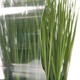 Detailaanzicht van de heldere polycarbonaat lichtplaat, 1,00 mm, met zichtbare beschermfolie en vage achtergrond