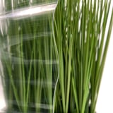 Detail van de heldere polycarbonaat golfplaat 76/18 met zicht op planten erachter