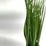 Detail van de opaal witte polycarbonaat golfplaat met een wazige groene plant op de achtergrond