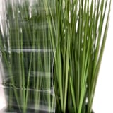 Detail van de heldere polycarbonaat golfplaat 76/18, 1,30 mm, voor groene planten