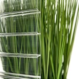 Detail van de 16 mm polycarbonaat dubbelwandige plaat, helder, met zichtbare kamers en ribben voor groene plant