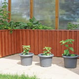 Polycarbonaat kanaalplaat | 16 mm | Profiel DUO | Voordeelpakket | Plaatbreedte 98 cm | Helder | Breedte 3,09 m | Lengte 2,50 m
