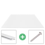 Polycarbonaat lichtplaat 16 mm opaal wit, hoofdaanzicht met bevestigingsprofiel en schroef
