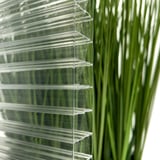 Detailweergave van de 25 mm polycarbonaat lichtplaat, helder, met zicht op de kamerstructuur voor groene achtergrond