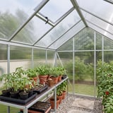 Binnenaanzicht van kas met heldere 6 mm polycarbonaat lichtplaten en planten