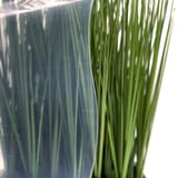 VLF PVC golfplaat 130/30, 1,40 mm, lichtblauw getint, detail met grassprieten op de achtergrond