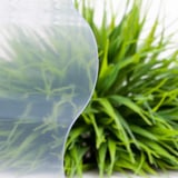 Detail van de transparante PVC golfplaat 177/51, 1,40 mm, met wazige plantenachtergrond