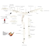 Overzicht van alle Niagara dakgootonderdelen in zuiverwit, inclusief afvoerbocht en infografik