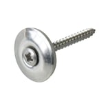 RVS schroef blank met ring en Torx-aandrijving, hoofdweergave
