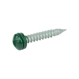 RVS schroef mosgroen RAL 6005, hoofdweergave met groene kop en lichte schroefdraad
