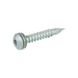 RVS schroef Zilver-Metallic RAL 9006 met afdichtring en Torx-aandrijving, zijaanzicht