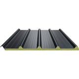 Sandwichpaneel ECO 1000-30 dak, Antracietgrijs, zijaanzicht met profiel en isolatiekern
