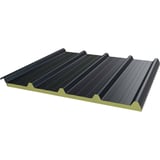Sandwichpaneel ECO 1000-30 dak, antracietgrijs RAL 7016, schuin aanzicht