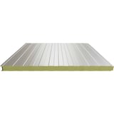 Sandwich Paneel Wall 1150 60 | Gevel | Kern 6 cm | 25 µm Polyester | 9002 - Grijswit | 5,50 m