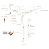 Overzicht van het Niagara dakgootsysteem in zuiverwit met alle componenten en materiaaldetails als infografiek