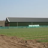 Grote schuur met groen dak en wanden, met zwarte golfplaten van vezelcement op het dak