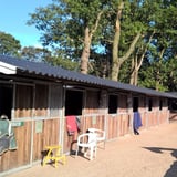 Stallen met houten wanden en zwart golfplaten dak van vezelcement, buitenaanzicht