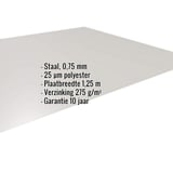 Vlakke plaat staal 0,75 mm zilver-metallic met ingebedde specificaties