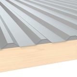 Tandplaat ongeperforeerd, Zilver-Metallic, op houtconstructie, vooraanzicht van de profilering