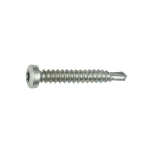RVS schroef blank, zelfborend, met lenskop en Torx-aandrijving, voor houtconstructies