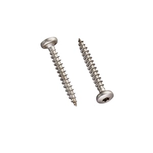 RVS schroeven blank, twee houtschroeven met Torx-aandrijving en lenskop, schuin van boven