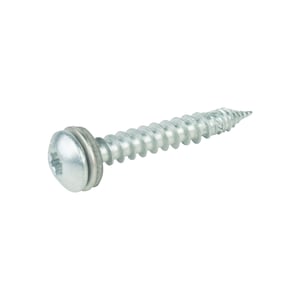 RVS schroef blank, met panhead en afdichtring, voor houtconstructie