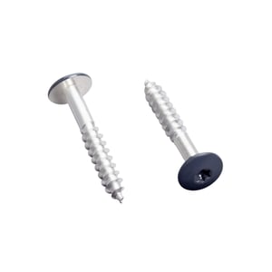 RVS schroeven, twee antracietgrijze schroeven met Torx-aandrijving en platte kop, vrijstaand