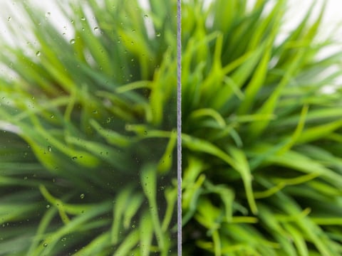 Transparante massieve platen laten duidelijk zicht zien op achterliggende groene planten, ideaal voor interieurontwerp