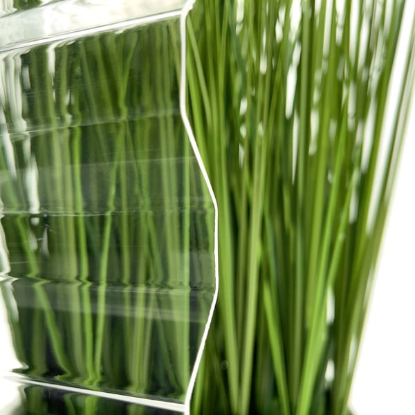Acrylglas golfplaat 76/18, 1,50 mm, helder, detail van lichtdoorlatendheid voor planten