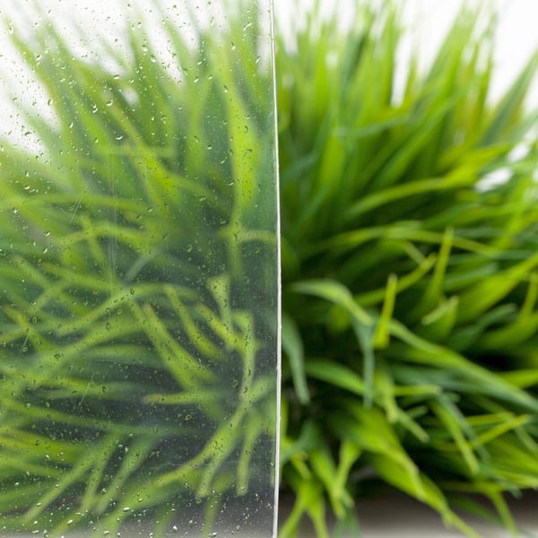 Detail van de 1,20 mm heldere polycarbonaatplaat met waterdruppels en gras op de achtergrond